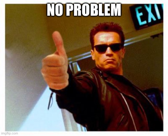 terminator thumbs up | NO PROBLEM | image tagged in terminator thumbs up | made w/ Imgflip meme maker