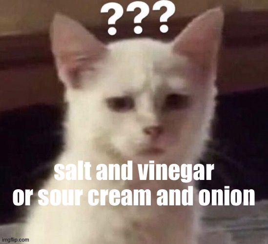 salt and vinegar for me tbh | salt and vinegar or sour cream and onion | made w/ Imgflip meme maker