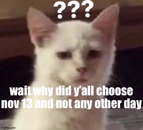 ? | wait why did y’all choose nov 13 and not any other day | made w/ Imgflip meme maker