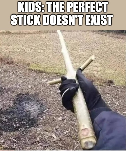 KIDS: THE PERFECT STICK DOESN'T EXIST | image tagged in funny memes | made w/ Imgflip meme maker