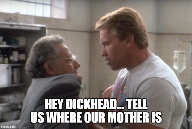 Tell Us Where Our Mother Is | HEY DICKHEAD... TELL US WHERE OUR MOTHER IS | image tagged in twins,arnold schwarzenegger | made w/ Imgflip meme maker