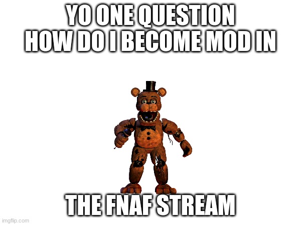 i love fnaf | YO ONE QUESTION HOW DO I BECOME MOD IN; THE FNAF STREAM | image tagged in fnaf,memes,mods,trying to become mod,i love fnaf | made w/ Imgflip meme maker