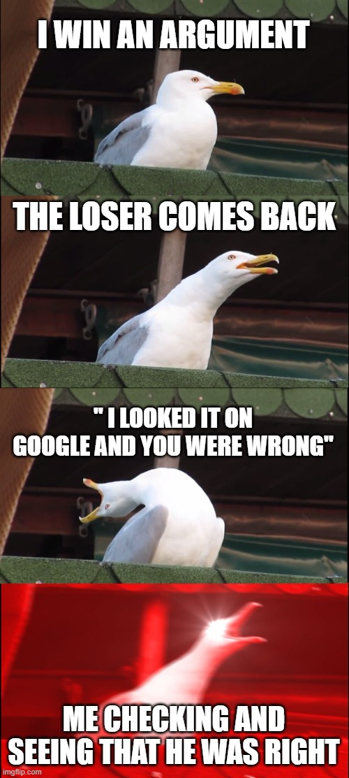 idk | I WIN AN ARGUMENT; THE LOSER COMES BACK; " I LOOKED IT ON GOOGLE AND YOU WERE WRONG"; ME CHECKING AND SEEING THAT HE WAS RIGHT | image tagged in memes,inhaling seagull | made w/ Imgflip meme maker