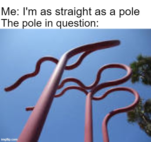 A very "straight" back posture | Me: I'm as straight as a pole; The pole in question: | image tagged in poles | made w/ Imgflip meme maker