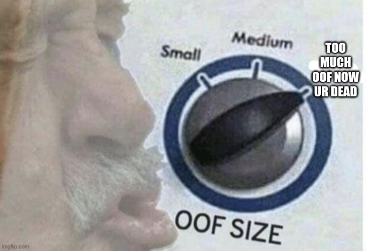 Oof size large | TOO MUCH OOF NOW UR DEAD | image tagged in oof size large | made w/ Imgflip meme maker