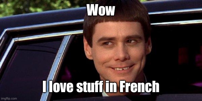 dumb and dumber | Wow I love stuff in French | image tagged in dumb and dumber | made w/ Imgflip meme maker