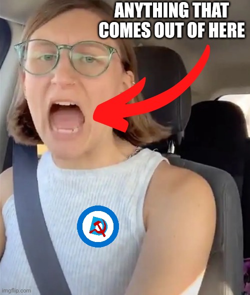 Unhinged Liberal Lunatic Idiot Woman Meltdown Screaming in Car | ANYTHING THAT COMES OUT OF HERE | image tagged in unhinged liberal lunatic idiot woman meltdown screaming in car | made w/ Imgflip meme maker