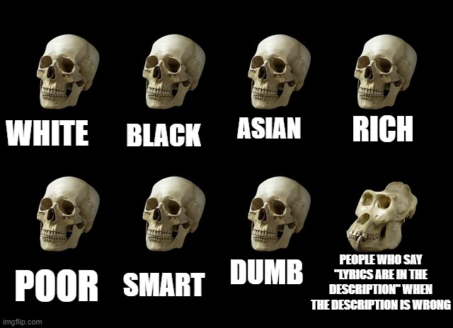 Check the flippin' Description and try following along the song... | ASIAN; RICH; BLACK; WHITE; PEOPLE WHO SAY "LYRICS ARE IN THE DESCRIPTION" WHEN THE DESCRIPTION IS WRONG; DUMB; SMART; POOR | image tagged in skull | made w/ Imgflip meme maker