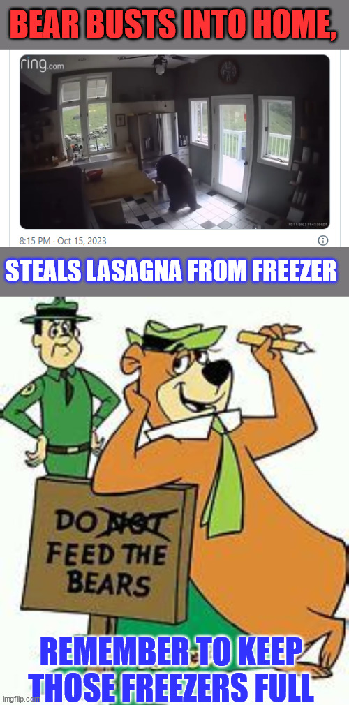 Let me guess... the bear's name is Yogi... | BEAR BUSTS INTO HOME, STEALS LASAGNA FROM FREEZER; REMEMBER TO KEEP THOSE FREEZERS FULL | image tagged in dark humour,yogi bear,hungry,frozen,lasagna | made w/ Imgflip meme maker