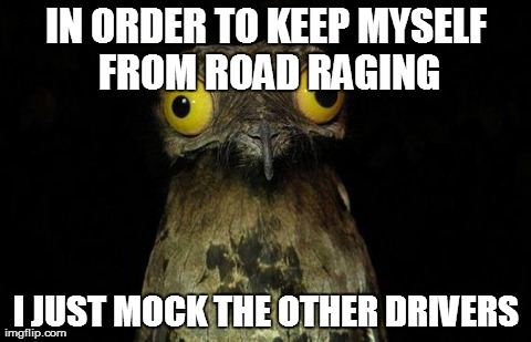 Weird Stuff I Do Potoo | IN ORDER TO KEEP MYSELF FROM ROAD RAGING I JUST MOCK THE OTHER DRIVERS | image tagged in memes,weird stuff i do potoo,AdviceAnimals | made w/ Imgflip meme maker
