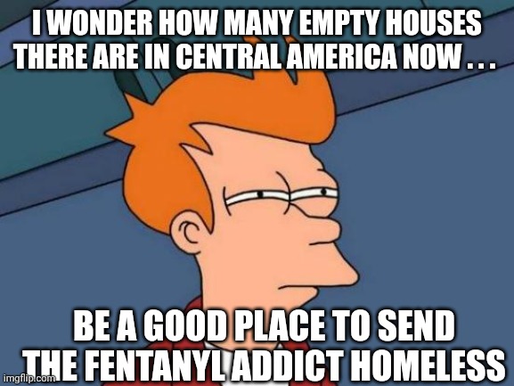 Futurama Fry Meme | I WONDER HOW MANY EMPTY HOUSES THERE ARE IN CENTRAL AMERICA NOW . . . BE A GOOD PLACE TO SEND THE FENTANYL ADDICT HOMELESS | image tagged in memes,futurama fry | made w/ Imgflip meme maker
