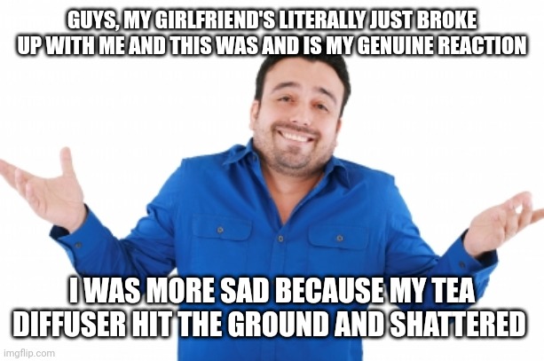 No, actually this was my reaction | GUYS, MY GIRLFRIEND'S LITERALLY JUST BROKE UP WITH ME AND THIS WAS AND IS MY GENUINE REACTION; I WAS MORE SAD BECAUSE MY TEA DIFFUSER HIT THE GROUND AND SHATTERED | image tagged in oh well,memes,funny,breakup,lol | made w/ Imgflip meme maker