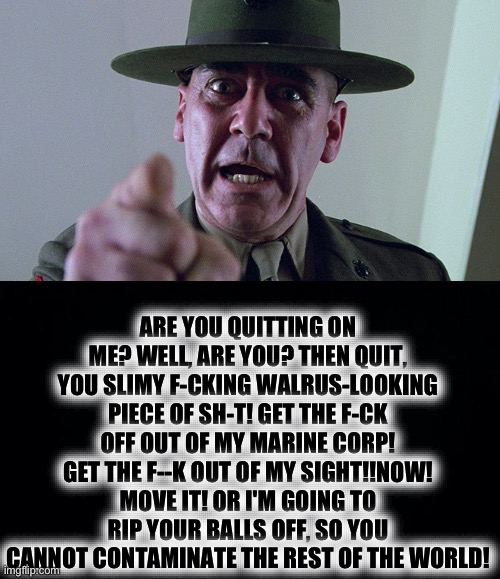 ARE YOU QUITTING ON ME? WELL, ARE YOU? THEN QUIT, YOU SLIMY F-CKING WALRUS-LOOKING PIECE OF SH-T! GET THE F-CK OFF OUT OF MY MARINE CORP! GE | image tagged in sgt hartman,black background | made w/ Imgflip meme maker