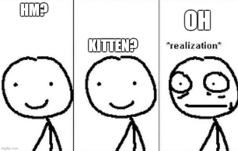 Realization | OH; HM? KITTEN? | image tagged in realization | made w/ Imgflip meme maker