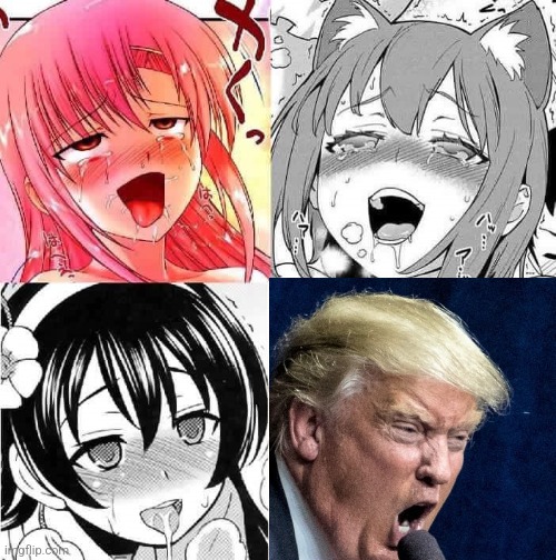AAAAAAA | image tagged in hentai faces | made w/ Imgflip meme maker