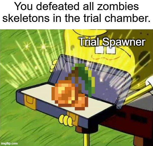 Trial spawner spits out glowberries. | You defeated all zombies skeletons in the trial chamber. Trial Spawner | image tagged in spongebob box,minecraft,minecraft memes,memes,funny memes | made w/ Imgflip meme maker