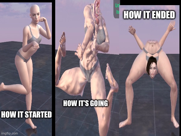 Sorry for the terrible cropping job | HOW IT ENDED; HOW IT’S GOING; HOW IT STARTED | image tagged in model,stupid,progress | made w/ Imgflip meme maker