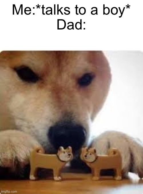 Comment if relatable | Me:*talks to a boy*
Dad: | image tagged in a shiba dog pushing two dog toys together,dads | made w/ Imgflip meme maker