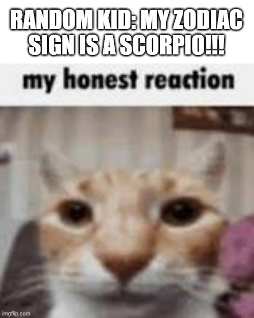 this isnt my zodiac sign btw | RANDOM KID: MY ZODIAC SIGN IS A SCORPIO!!! | image tagged in my honest reaction | made w/ Imgflip meme maker