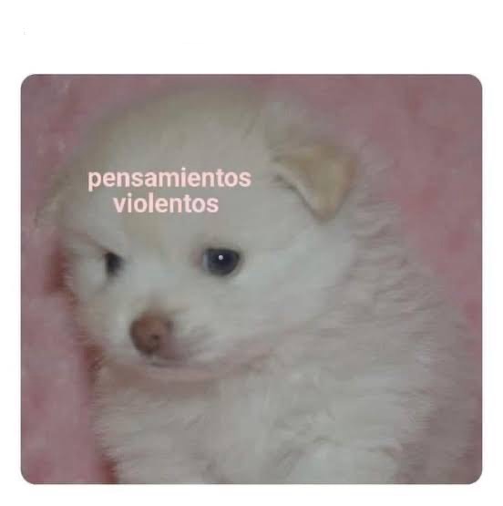 High Quality Pensamientos violentos Blank Meme Template