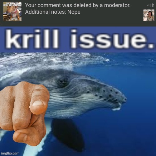 Get exposed Animevacuum | image tagged in krill issue | made w/ Imgflip meme maker