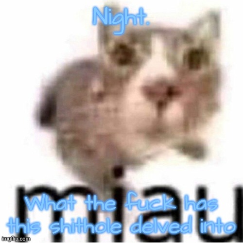 miau | Night. What the fuck has this shithole delved into | image tagged in miau | made w/ Imgflip meme maker