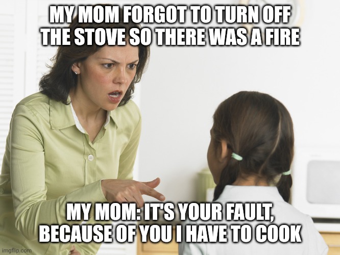 Scolding Mom | MY MOM FORGOT TO TURN OFF THE STOVE SO THERE WAS A FIRE; MY MOM: IT'S YOUR FAULT, BECAUSE OF YOU I HAVE TO COOK | image tagged in meme,mom,child,stove,fire | made w/ Imgflip meme maker