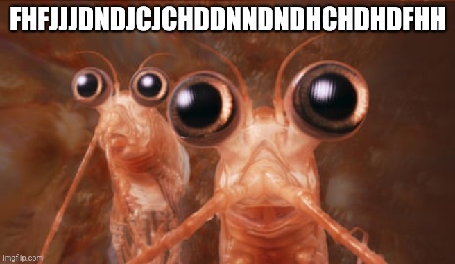 Krill | FHFJJJDNDJCJCHDDNNDNDHCHDHDFHH | image tagged in krill | made w/ Imgflip meme maker