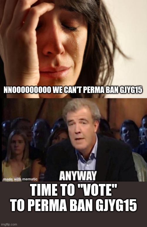 NNOOOOOOOOO WE CAN'T PERMA BAN GJYG15; TIME TO "VOTE" TO PERMA BAN GJYG15 | image tagged in memes,first world problems,oh no anyway | made w/ Imgflip meme maker