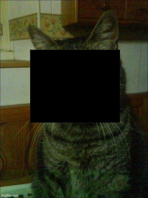 I censored the cat so gjyg15 can't jerk to it lol funni | image tagged in memes,depressed cat | made w/ Imgflip meme maker