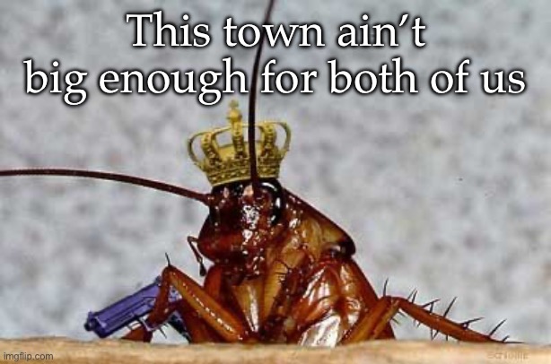 Cockroach King | This town ain’t big enough for both of us | image tagged in cockroach king | made w/ Imgflip meme maker