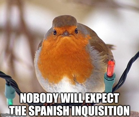 Nobody | NOBODY WILL EXPECT THE SPANISH INQUISITION | image tagged in memes,bah humbug | made w/ Imgflip meme maker
