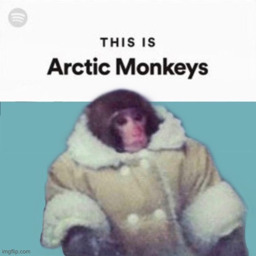 Literally Arctic Monkeys | image tagged in arctic,monkeys | made w/ Imgflip meme maker
