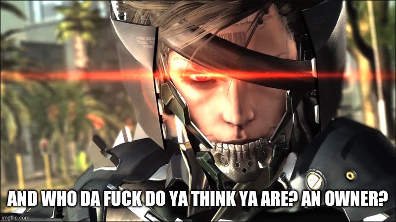 Metal Gear Raiden angry | AND WHO DA FUCK DO YA THINK YA ARE? AN OWNER? | image tagged in metal gear raiden angry | made w/ Imgflip meme maker