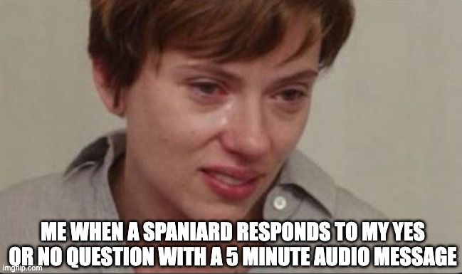 Scarlett Johansson sad | ME WHEN A SPANIARD RESPONDS TO MY YES OR NO QUESTION WITH A 5 MINUTE AUDIO MESSAGE | image tagged in scarlett johansson sad | made w/ Imgflip meme maker