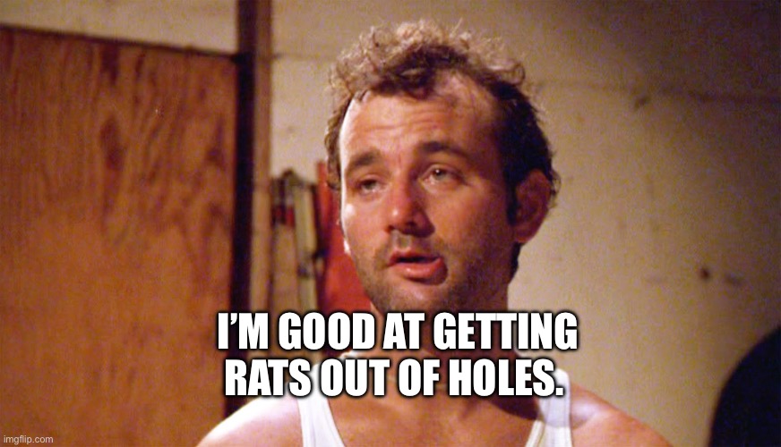 Bill Murray caddyshack | I’M GOOD AT GETTING RATS OUT OF HOLES. | image tagged in bill murray caddyshack | made w/ Imgflip meme maker