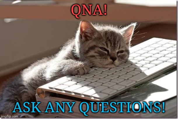 Bored Keyboard Cat | QNA! ASK ANY QUESTIONS! | image tagged in bored keyboard cat | made w/ Imgflip meme maker