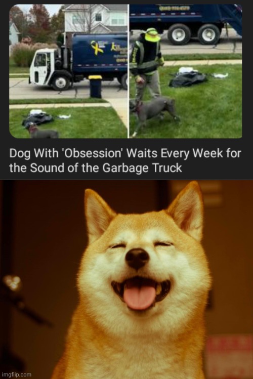 Garbage truck sound | image tagged in happy doge,memes,dogs,dog,garbage truck,sound | made w/ Imgflip meme maker