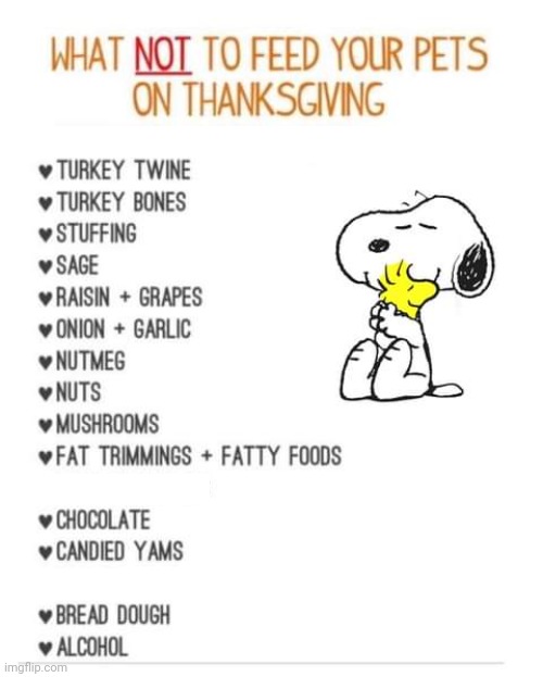 Food to avoid giving dogs at Thanksgiving | image tagged in thanksgiving,snoopy | made w/ Imgflip meme maker