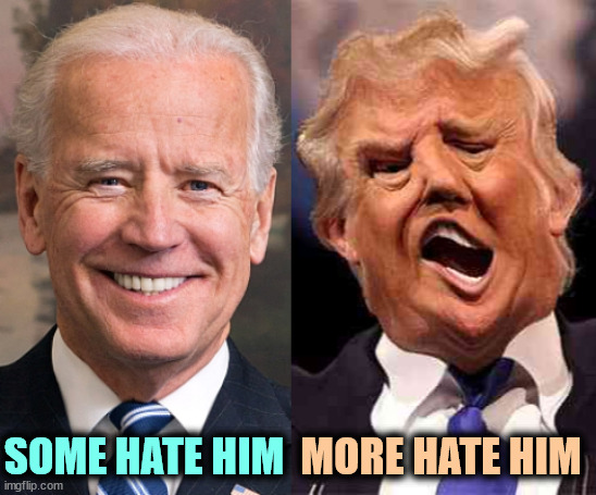 A lot more hate him. Trump haters (and that's most of us) are the saviors of democracy in this country. | SOME HATE HIM; MORE HATE HIM | image tagged in biden formal trump on acid,biden,strong,trump,haters | made w/ Imgflip meme maker