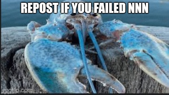 blue lobter | REPOST IF YOU FAILED NNN | image tagged in blue lobter | made w/ Imgflip meme maker