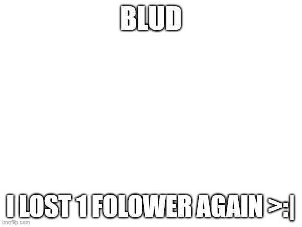 Why. | BLUD; I LOST 1 FOLOWER AGAIN >:| | image tagged in pro-fandom,why does this happened,why | made w/ Imgflip meme maker