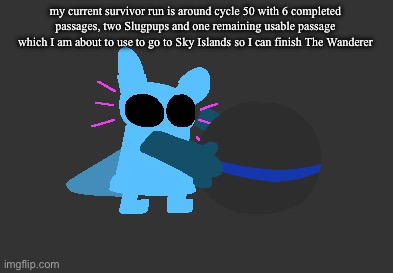 silly sluggies | my current survivor run is around cycle 50 with 6 completed passages, two Slugpups and one remaining usable passage which I am about to use to go to Sky Islands so I can finish The Wanderer | image tagged in idiot | made w/ Imgflip meme maker