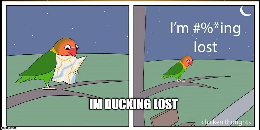 I'm ducking lost | IM DUCKING LOST | image tagged in birb | made w/ Imgflip meme maker