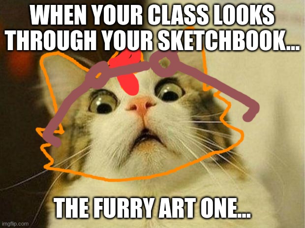 Furry struggle | WHEN YOUR CLASS LOOKS THROUGH YOUR SKETCHBOOK... THE FURRY ART ONE... | image tagged in memes,scared cat,furry,furries,the furry fandom | made w/ Imgflip meme maker