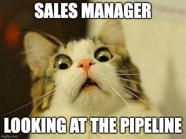 Scared Sales Manager | SALES MANAGER; LOOKING AT THE PIPELINE | image tagged in memes,scared cat | made w/ Imgflip meme maker