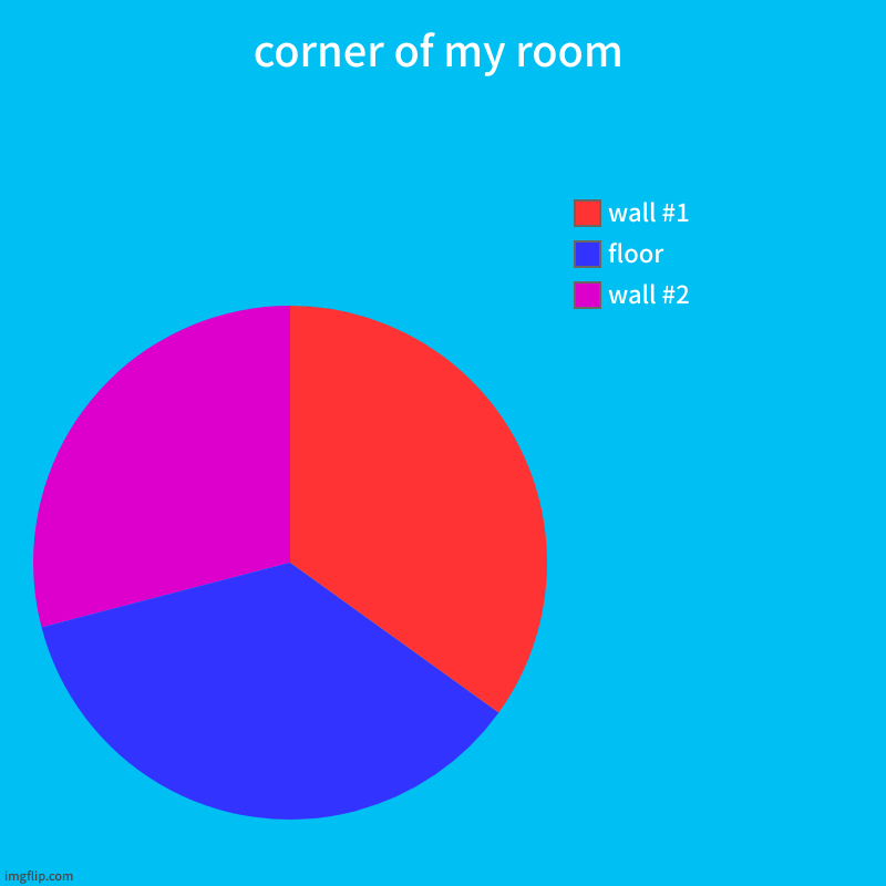 corner of my room | wall #2, floor, wall #1 | image tagged in charts,pie charts | made w/ Imgflip chart maker