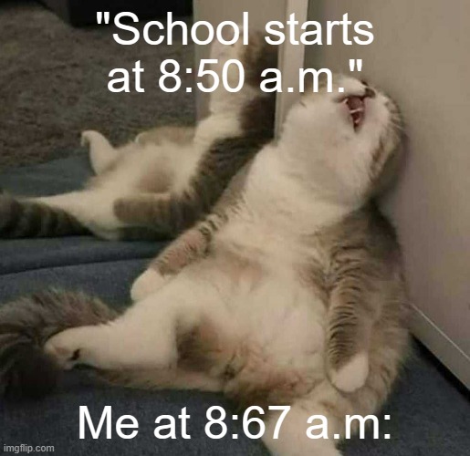 ._. | "School starts at 8:50 a.m."; Me at 8:67 a.m: | image tagged in deep sleep cat | made w/ Imgflip meme maker