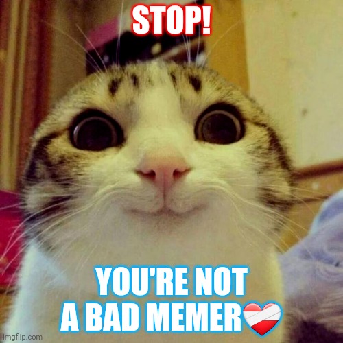 It's true! | STOP! YOU'RE NOT A BAD MEMER❤️‍🩹 | image tagged in memes,smiling cat | made w/ Imgflip meme maker