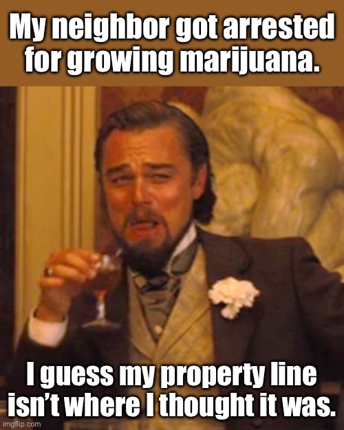 Weed | My neighbor got arrested for growing marijuana. I guess my property line isn’t where I thought it was. | image tagged in memes,laughing leo | made w/ Imgflip meme maker